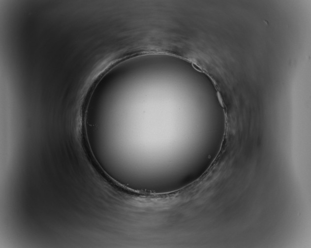 X0000092220005200709211016