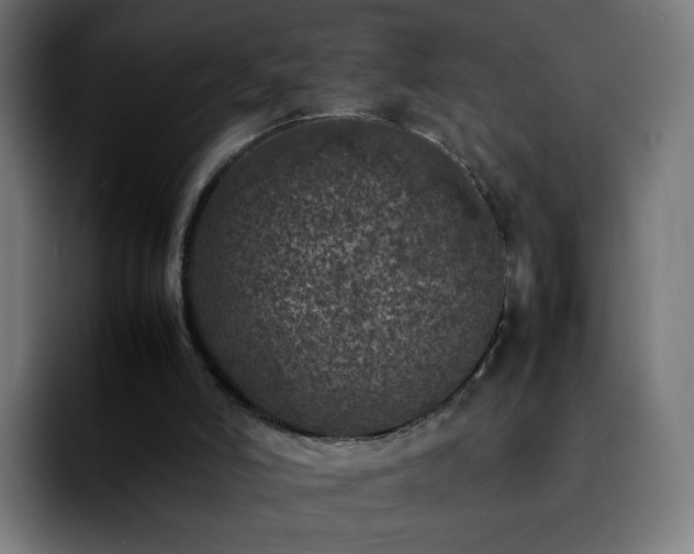 X0000092220006200709211016