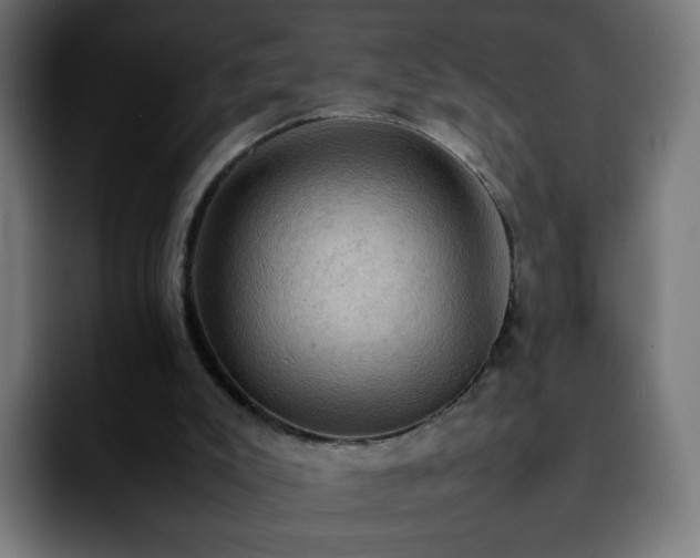 X0000092220007200709211016