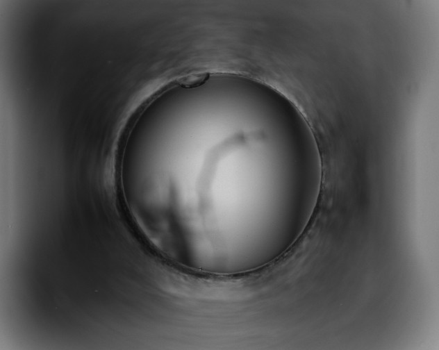 X0000092220008200709211016