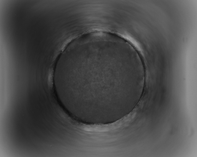 X0000092220009200709211016