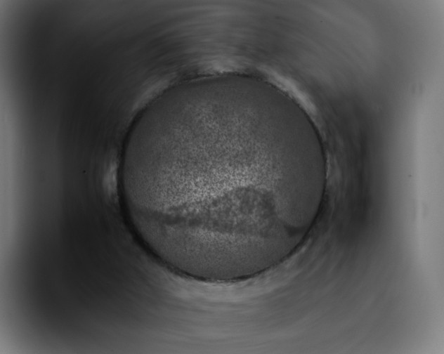 X0000092220010200709211016
