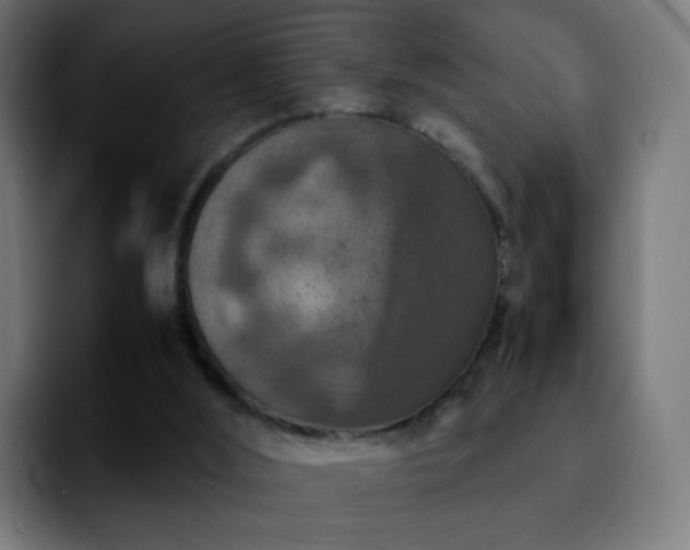 X0000092220012200709211016