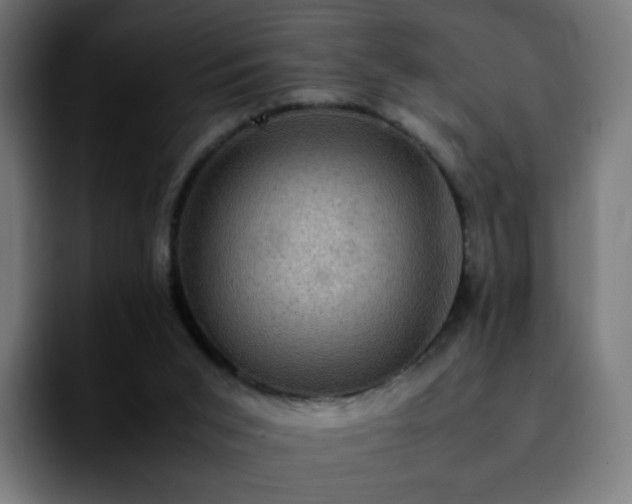 X0000092220015200709211016