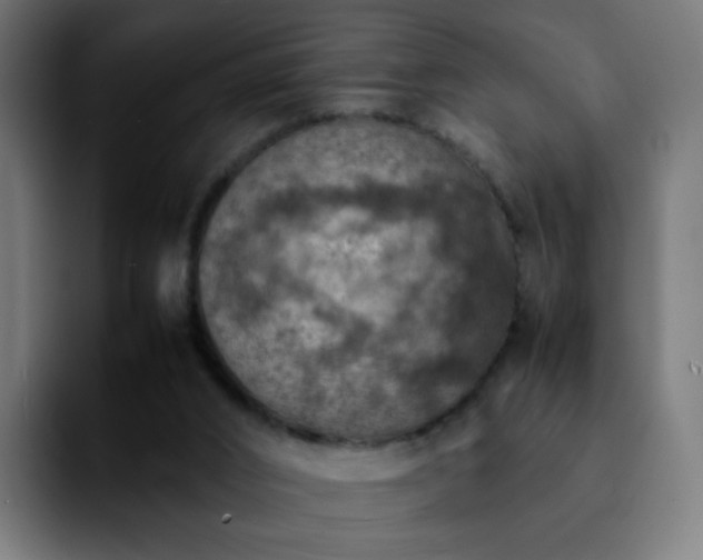 X0000092220016200709211016