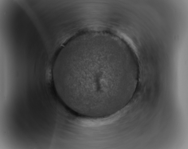 X0000092220017200709211016