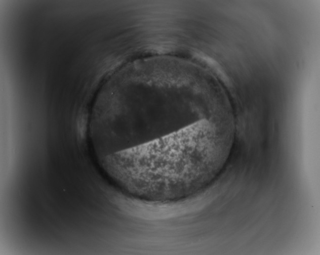 X0000092220018200709211016