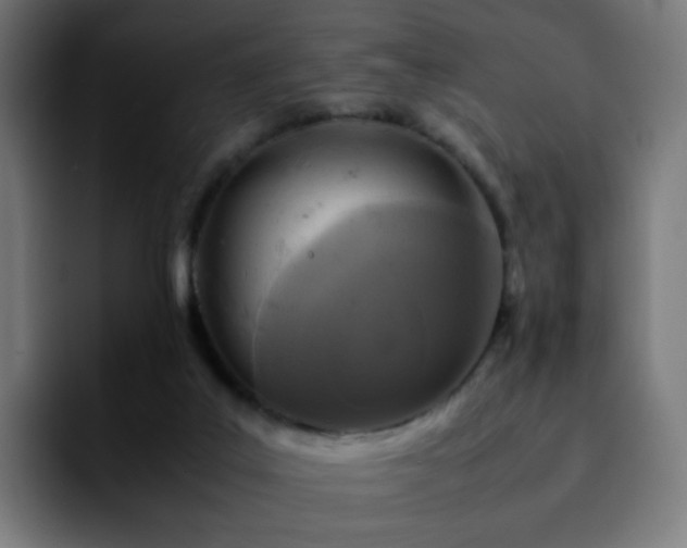 X0000092220019200709211016