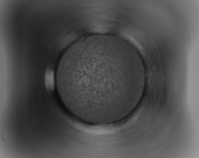 X0000092220020200709211016