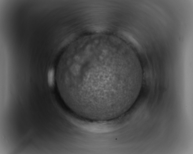 X0000092220024200709211016