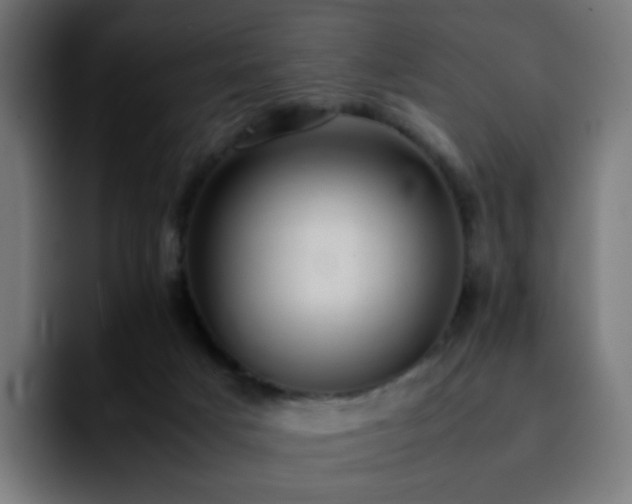 X0000092220025200709211016