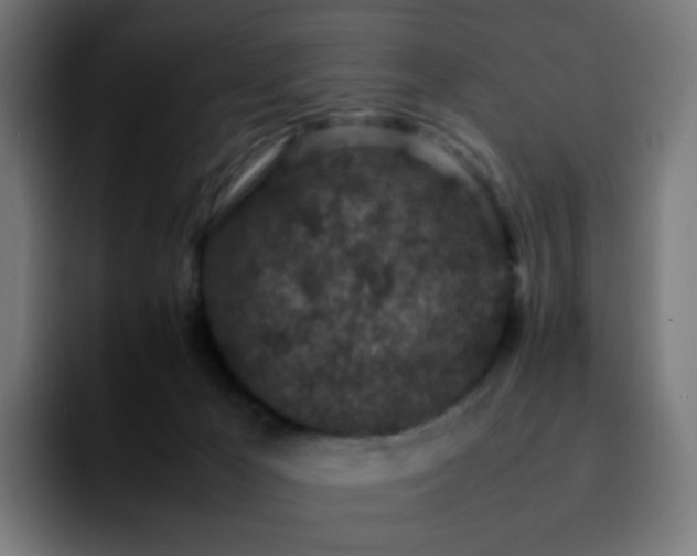 X0000092220029200709211015