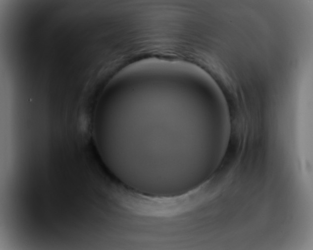 X0000092220031200709211015