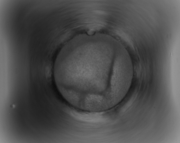 X0000092220032200709211015