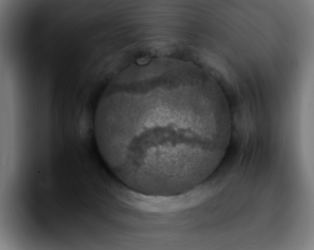 X0000092220034200709211015