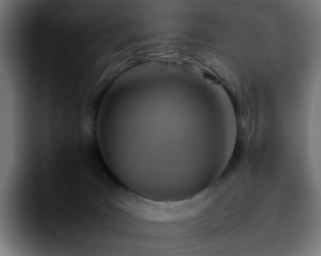 X0000092220035200709211015