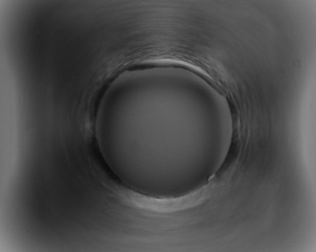 X0000092220039200709211015
