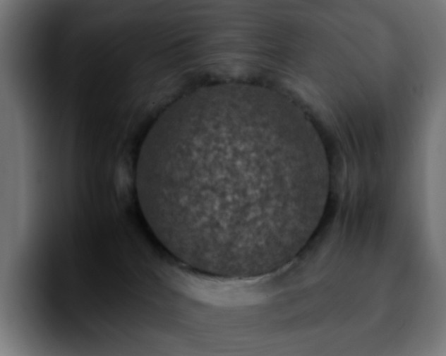 X0000092220040200709211015