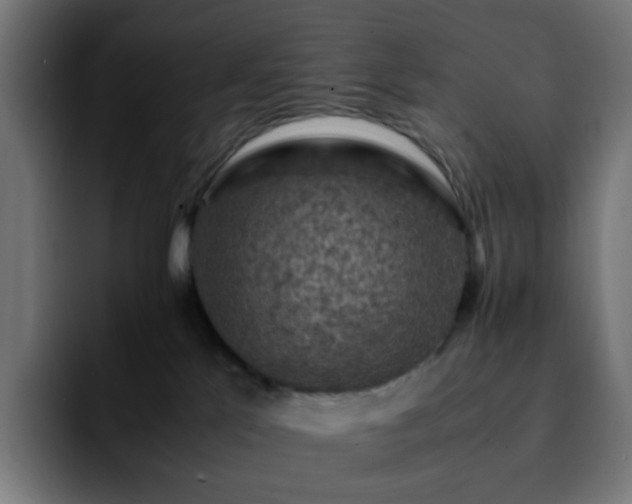 X0000092220041200709211015