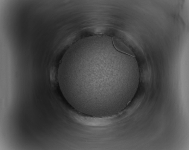 X0000092220044200709211015