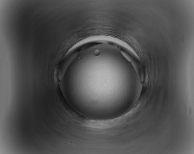 X0000092220045200709211015