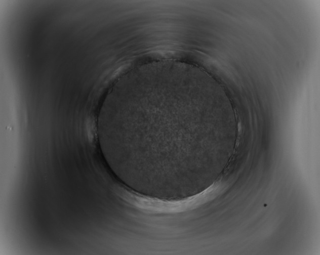 X0000092220048200709211015