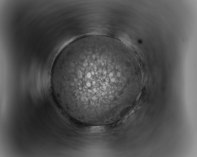 X0000092220050200709211015