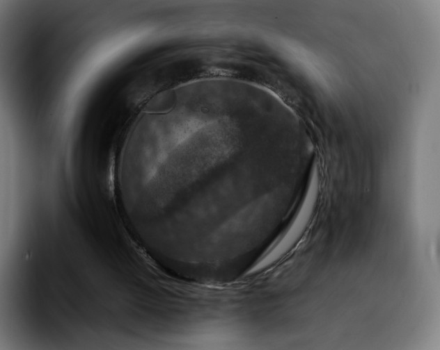X0000092220052200709211015