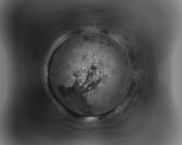 X0000092220053200709211015