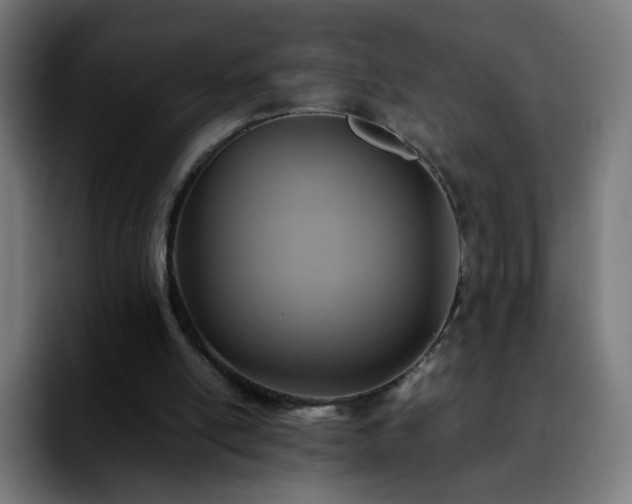 X0000092220054200709211015