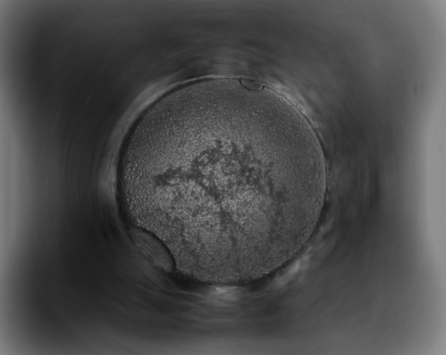 X0000092220055200709211015