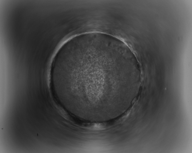 X0000092220056200709211015