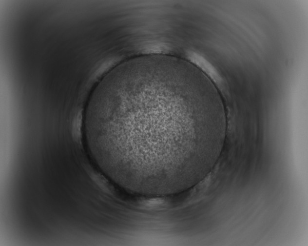 X0000092220058200709211015