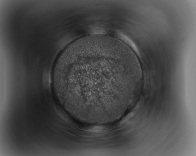X0000092220059200709211015