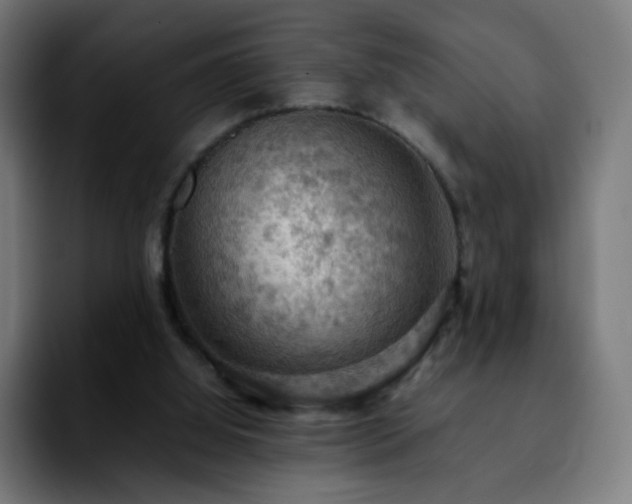 X0000092220060200709211015