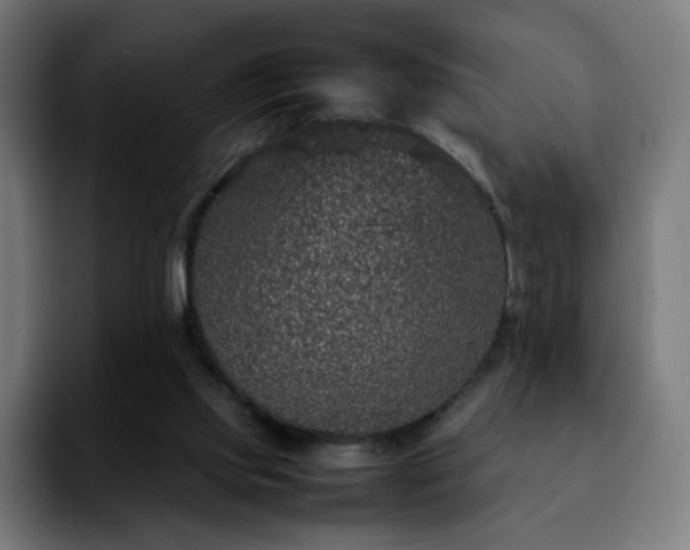 X0000092220061200709211015