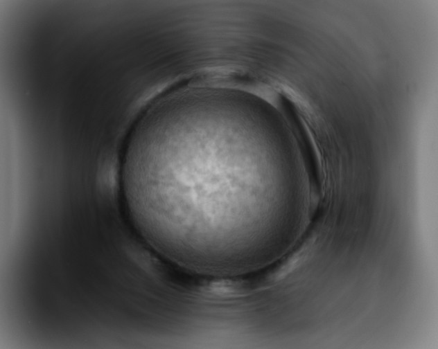 X0000092220064200709211015