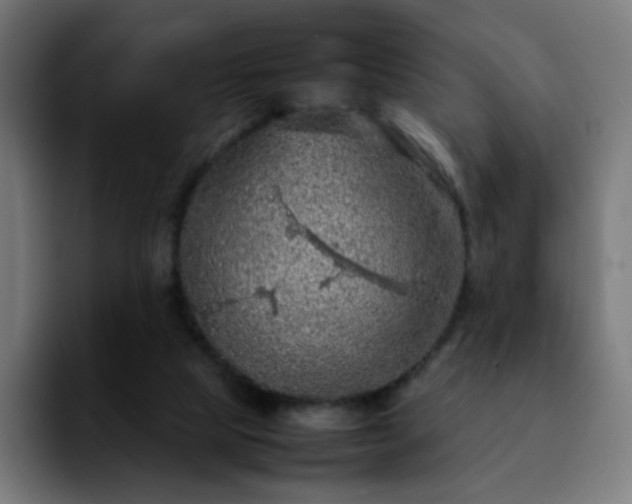 X0000092220065200709211015