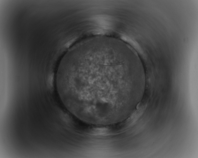 X0000092220066200709211015