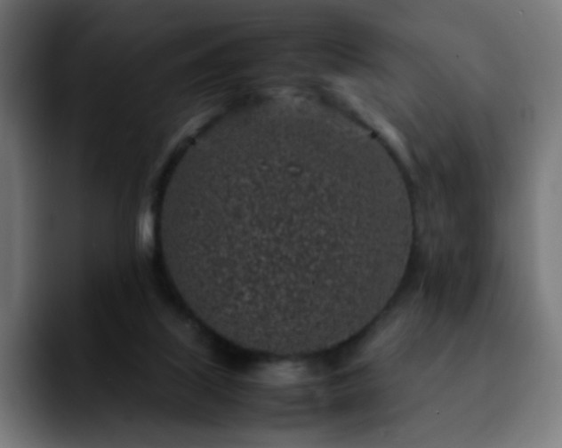 X0000092220067200709211015