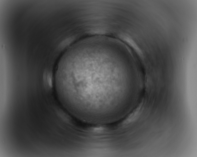 X0000092220068200709211015