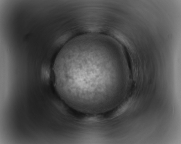 X0000092220072200709211015