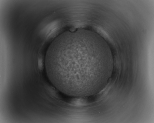 X0000092220074200709211015