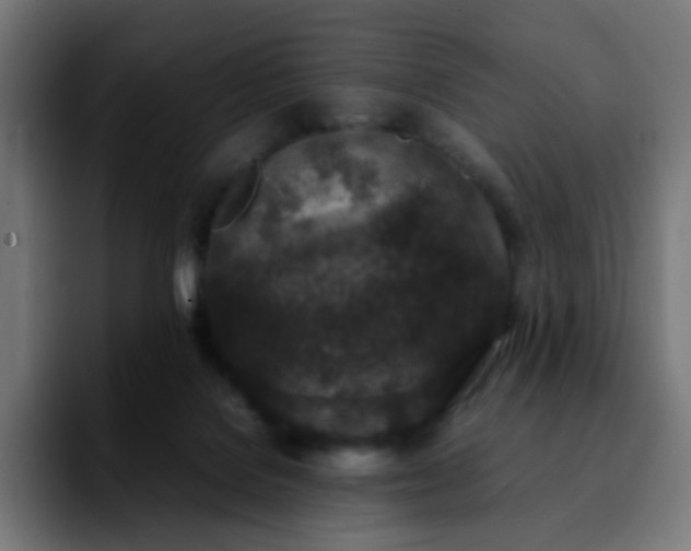 X0000092220076200709211015