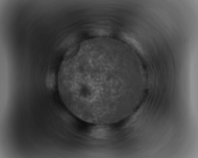 X0000092220077200709211015