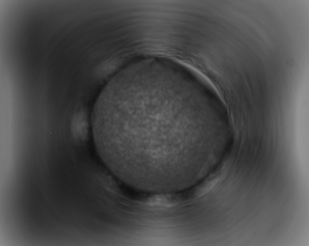 X0000092220080200709211015