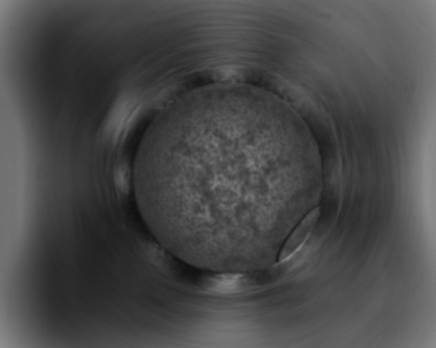 X0000092220090200709211015