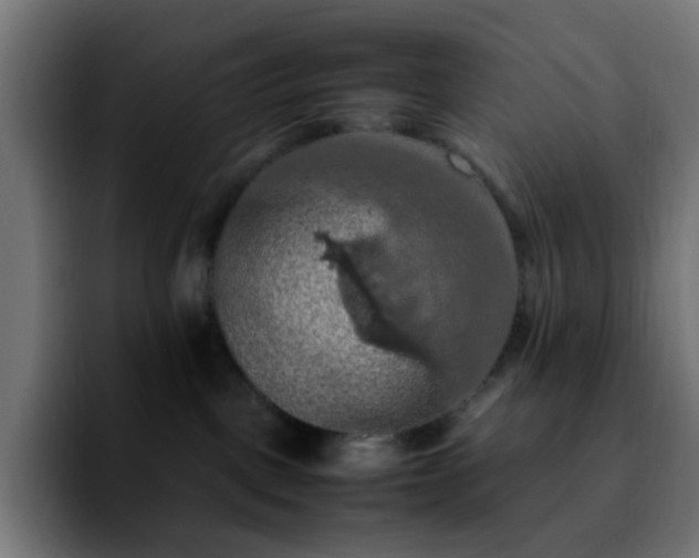 X0000092220093200709211015