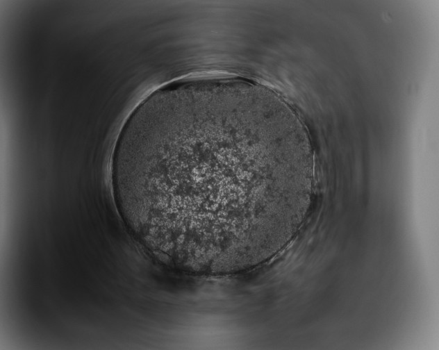X0000092220099200709211015