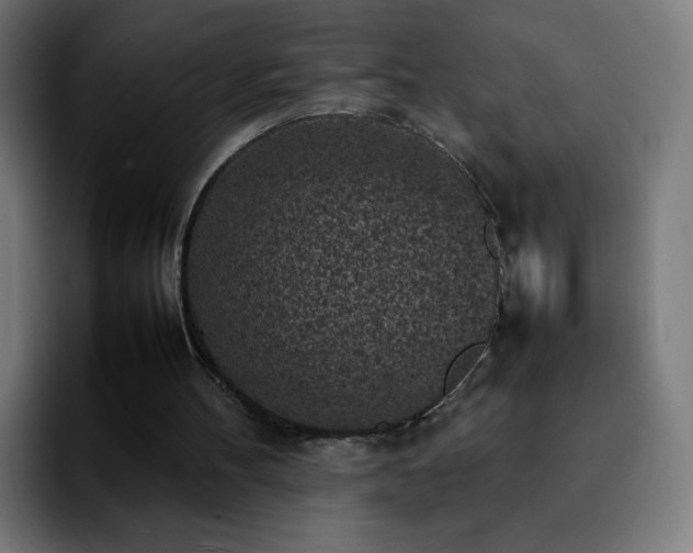 X0000092220100200709211015